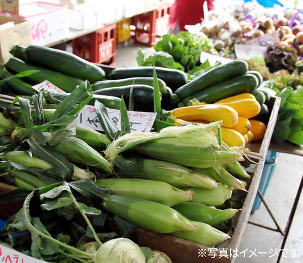 滋賀県の野菜の販売！