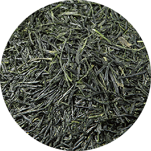 Sencha